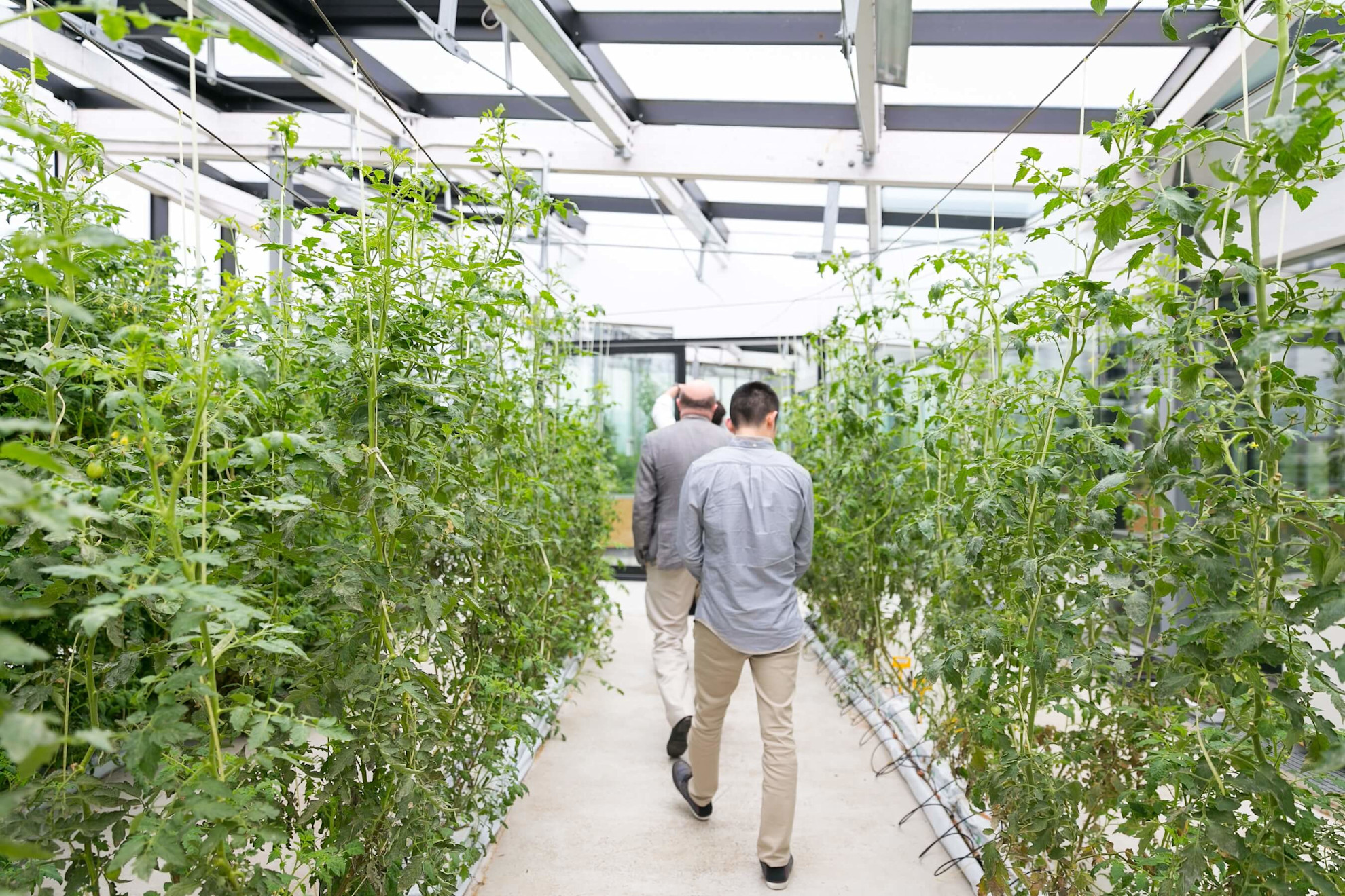 Michelin restaurant Greenhouse awarded with Green Star