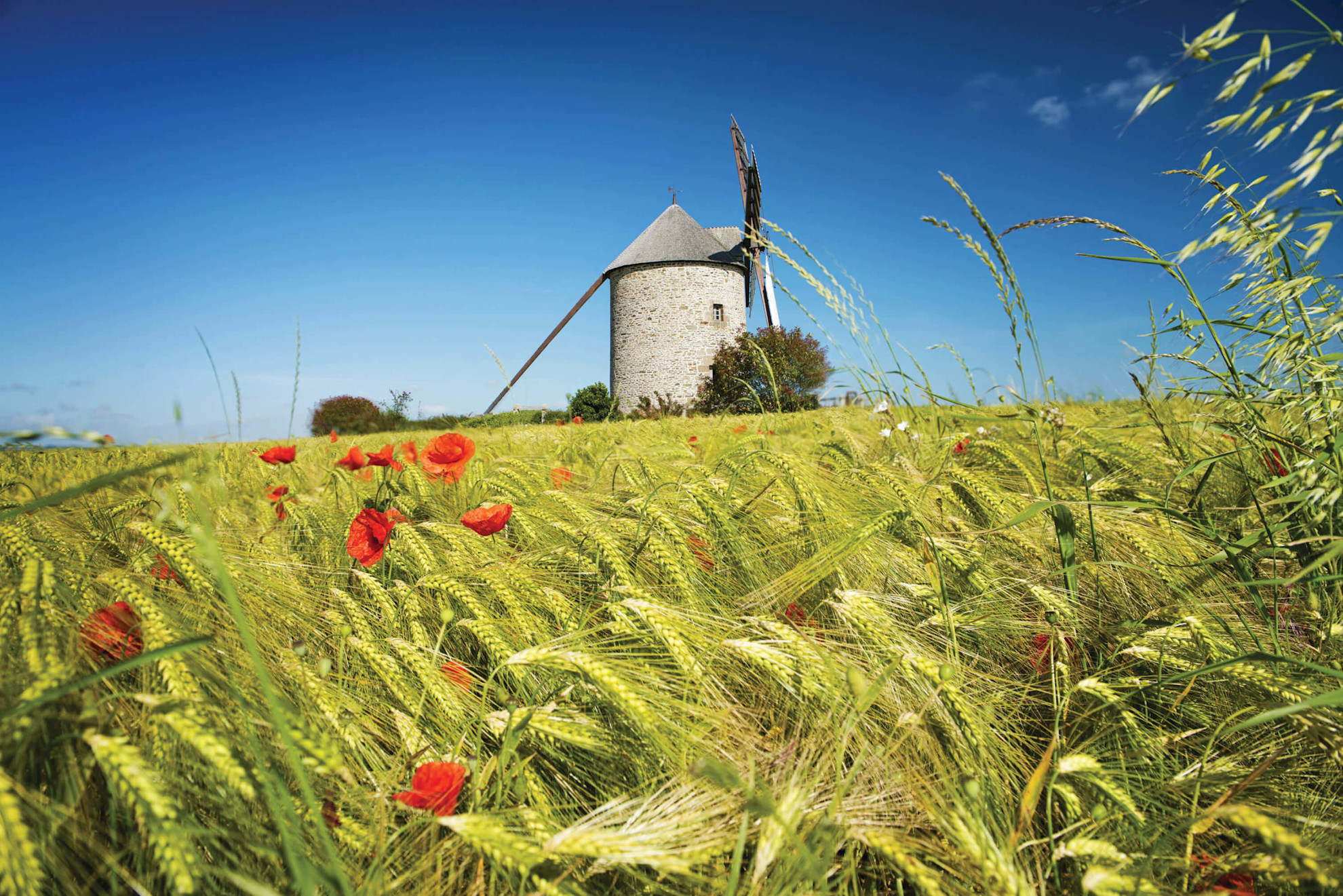 The Moulin de Moidrey near Pontorson © Shutterstock