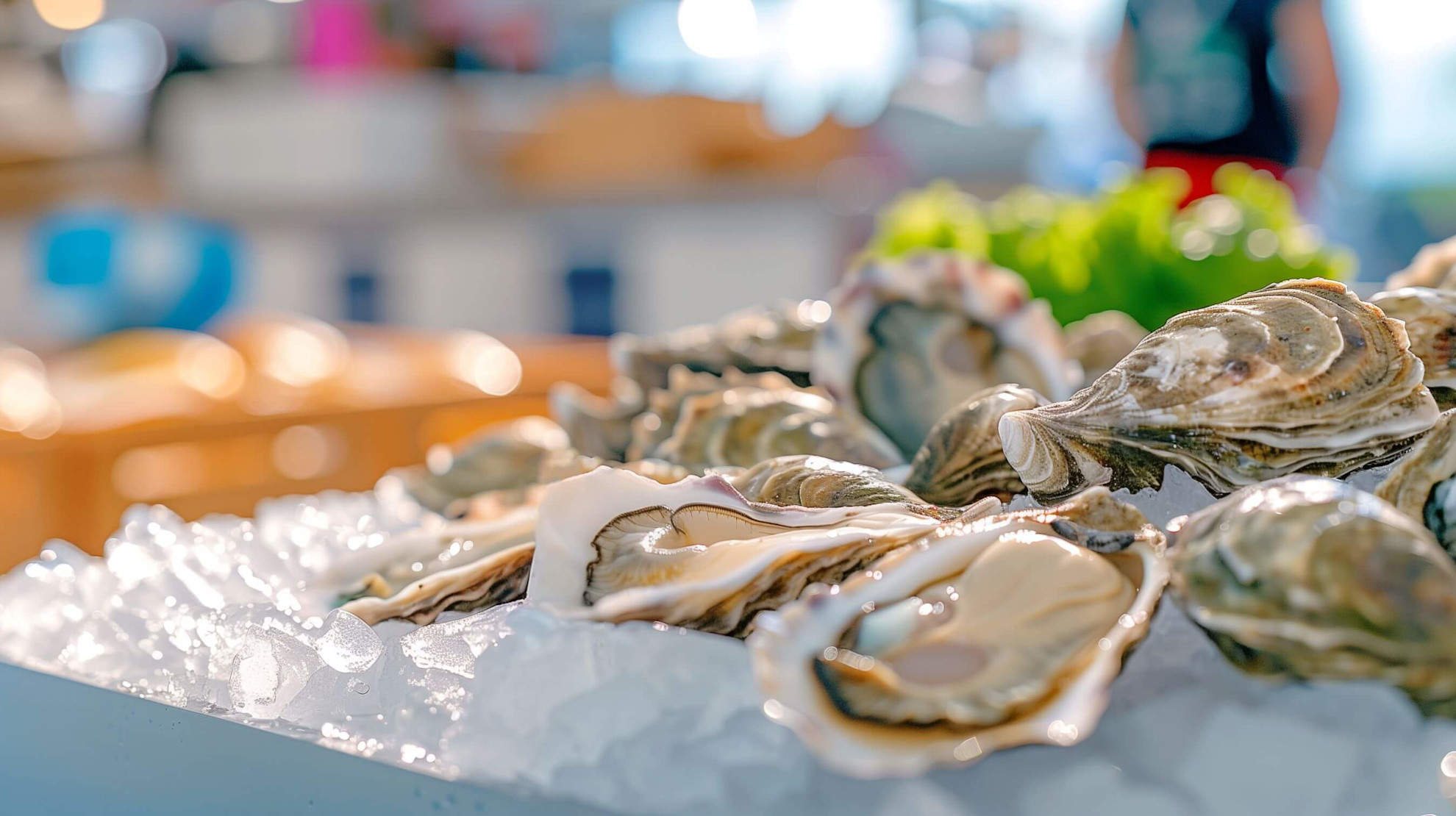 Oysters on ice