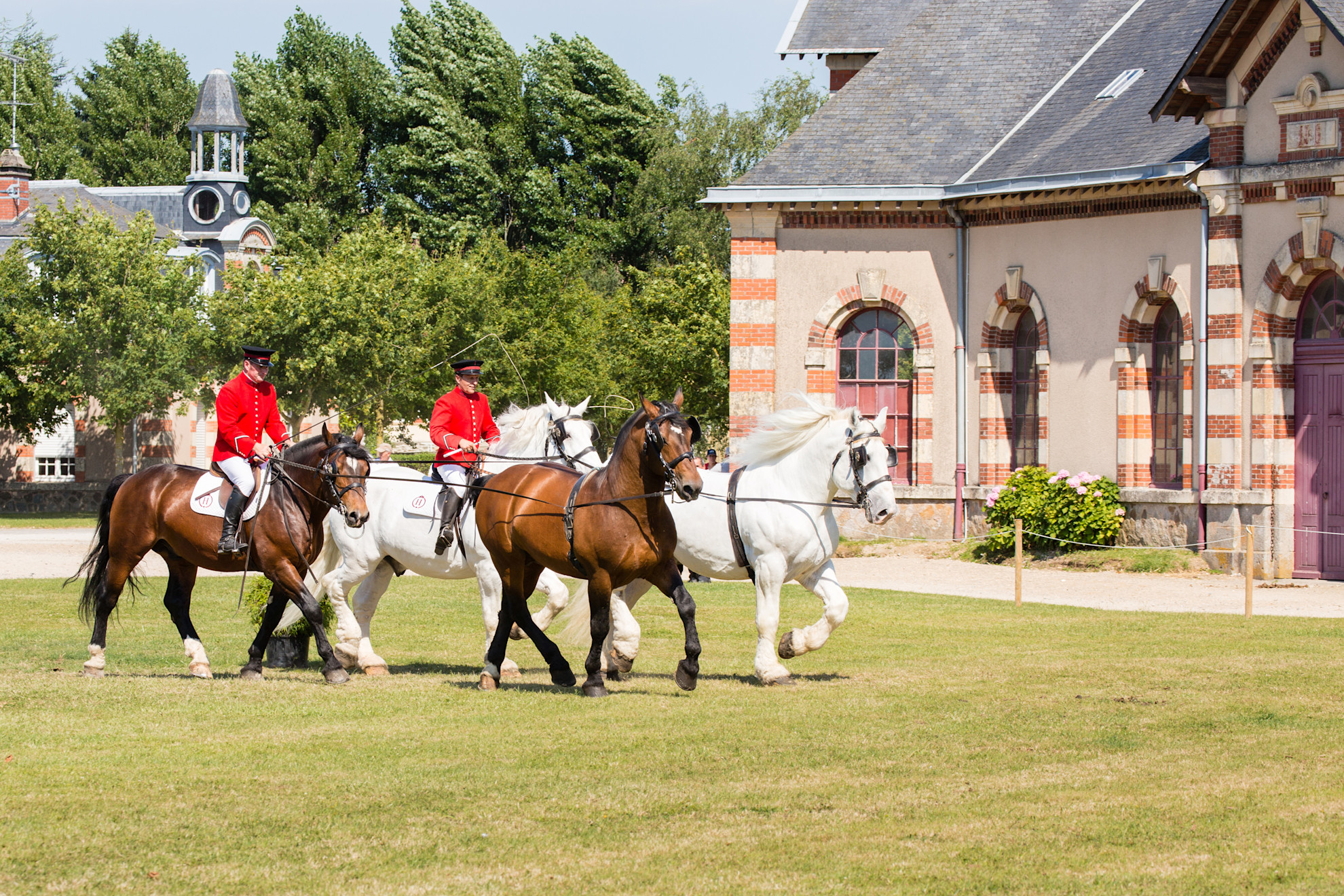 Horses and riders at the Haras de St Lô stud farm © Thierry Houyel