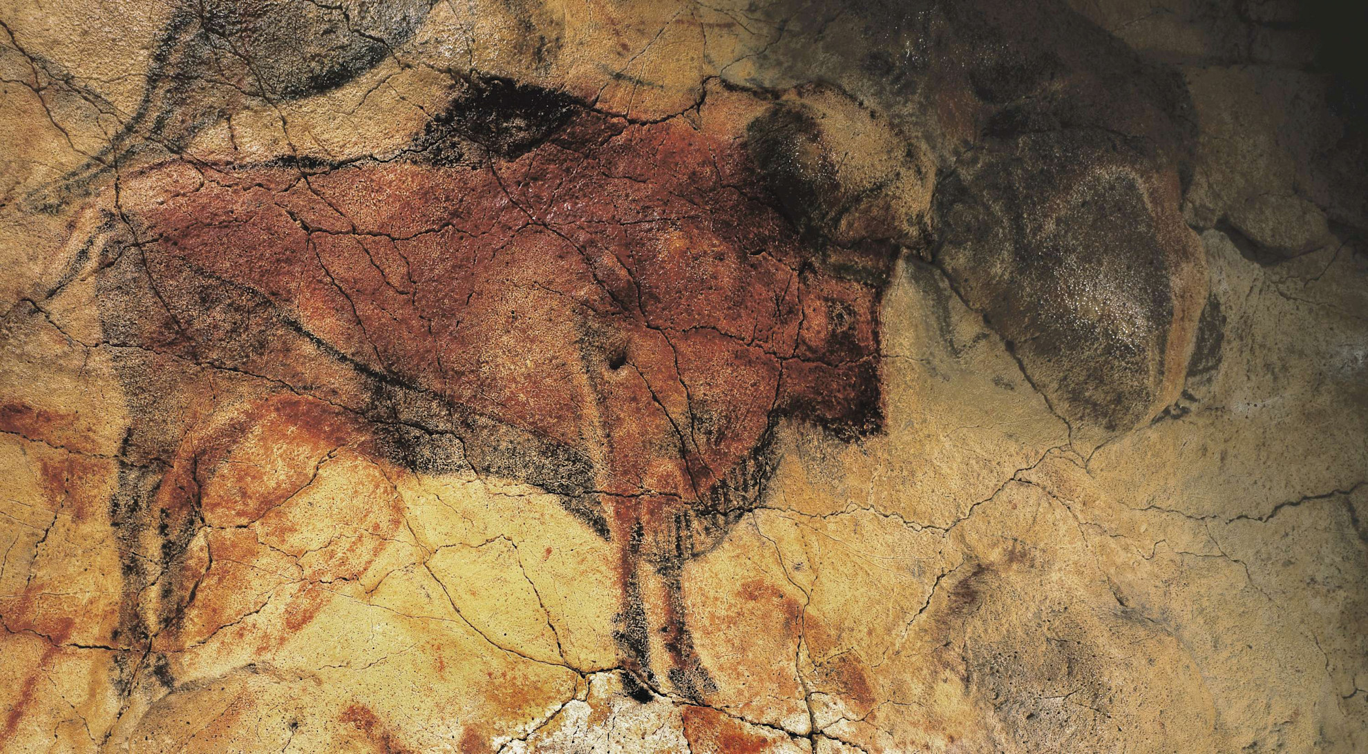 Cave painting in the Altamira Caves