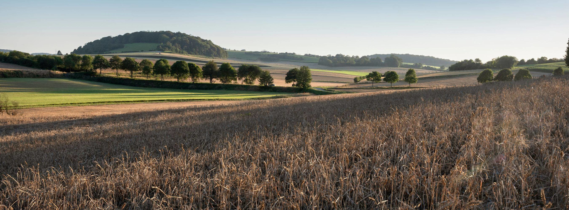 Regional Parc de Caps and Marais d'Opale in Nord Picardy, France