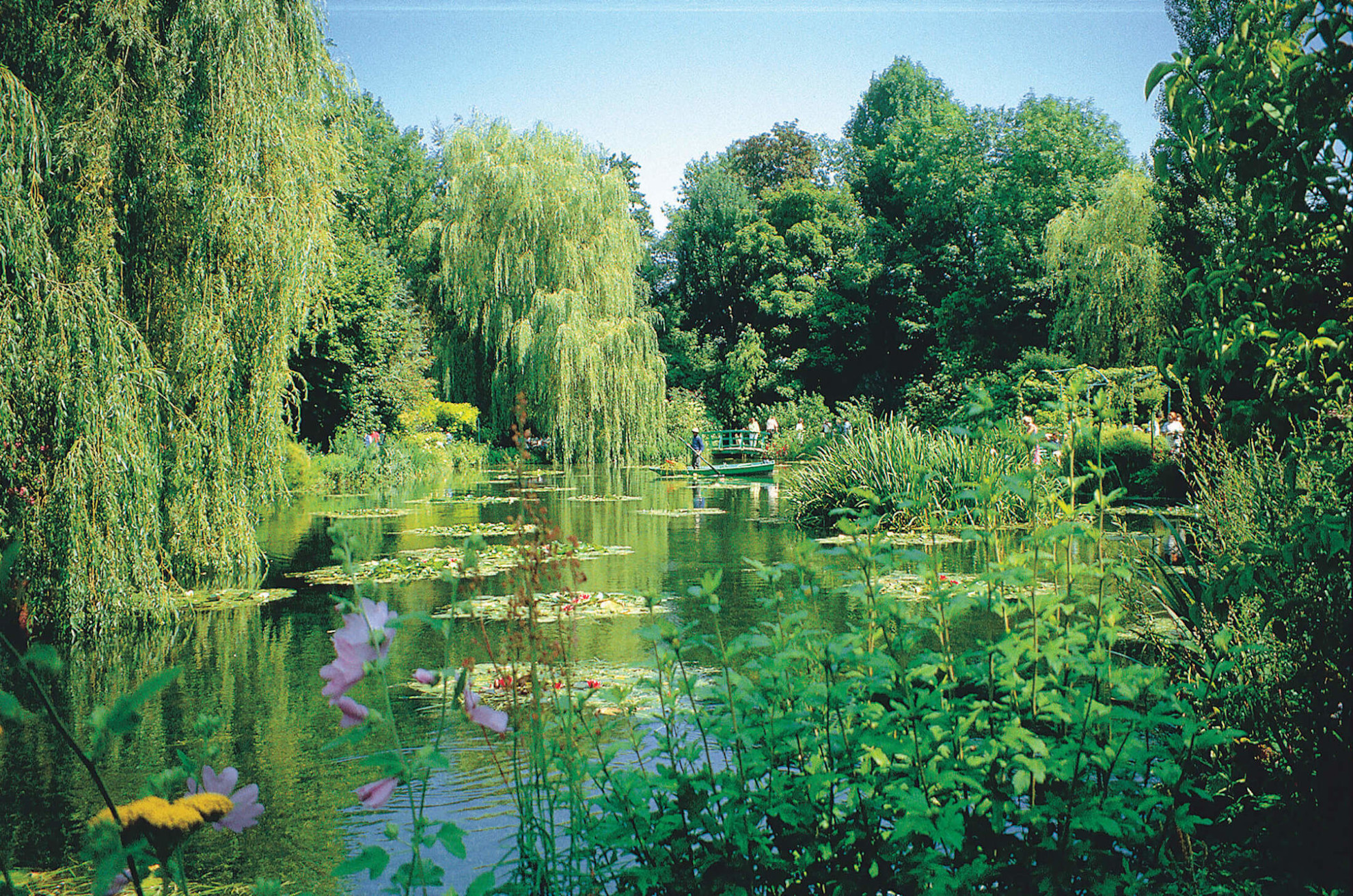 A view of Monet's lily pond at Giverny