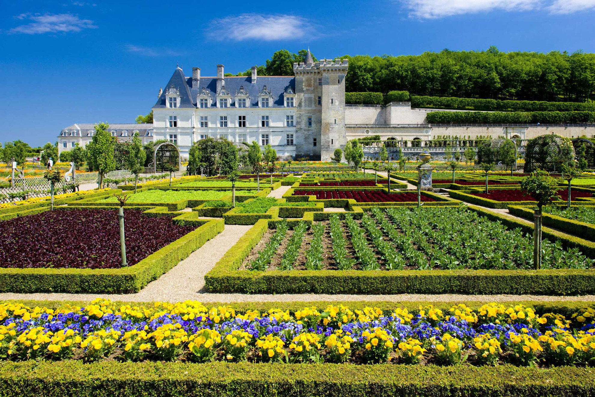 The gardens at the Château de Villandry © Shutterstock