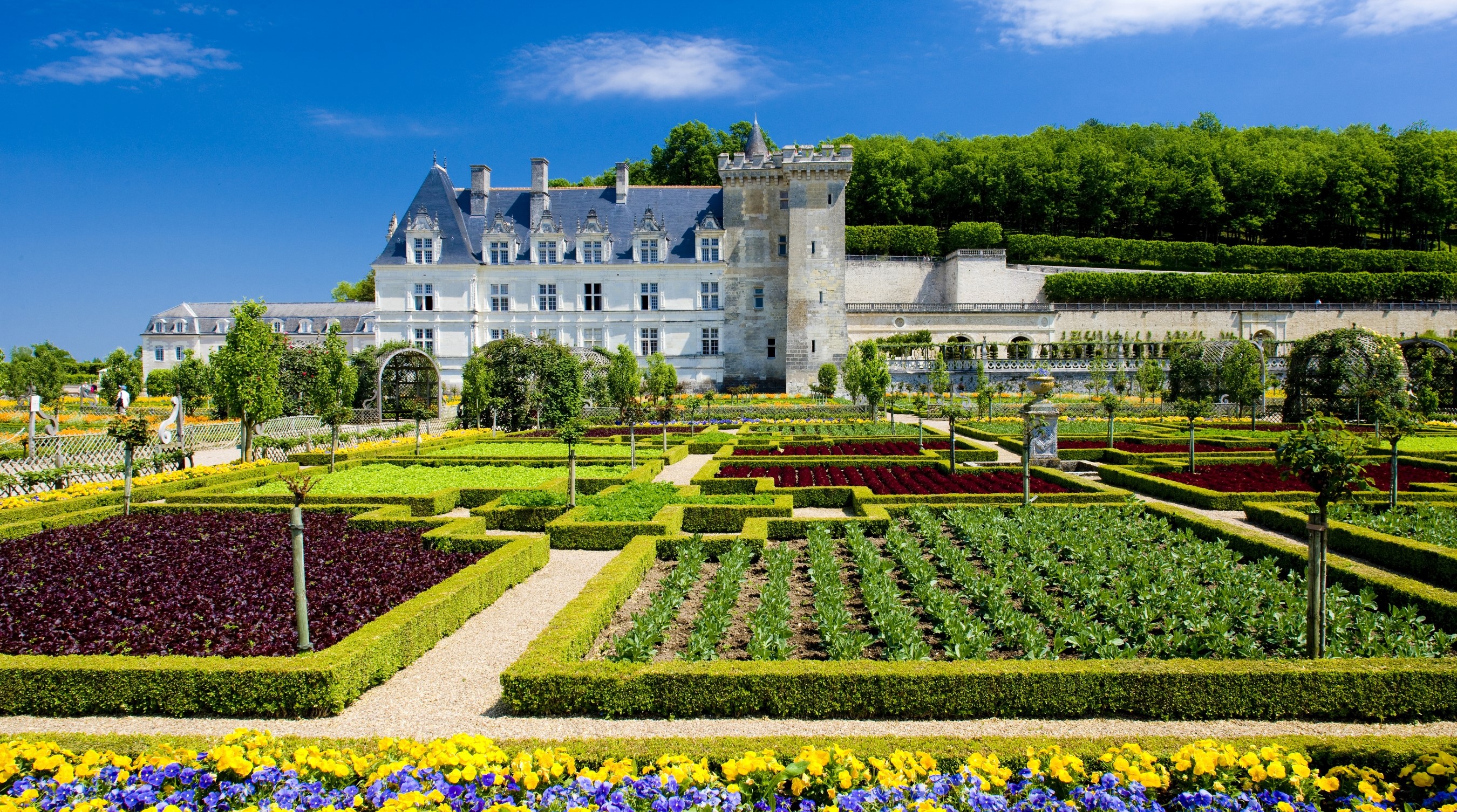 Chateaux of the Loire car tour