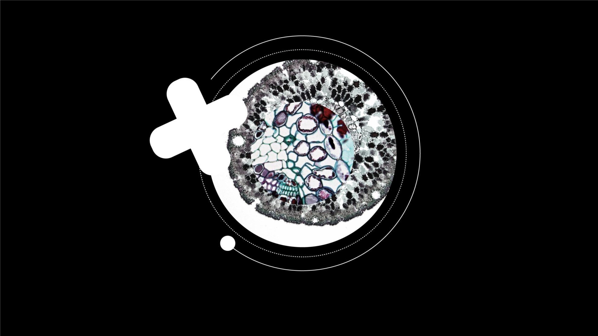 230807 Life-Sciences- -Pharma-Blog Header-Image