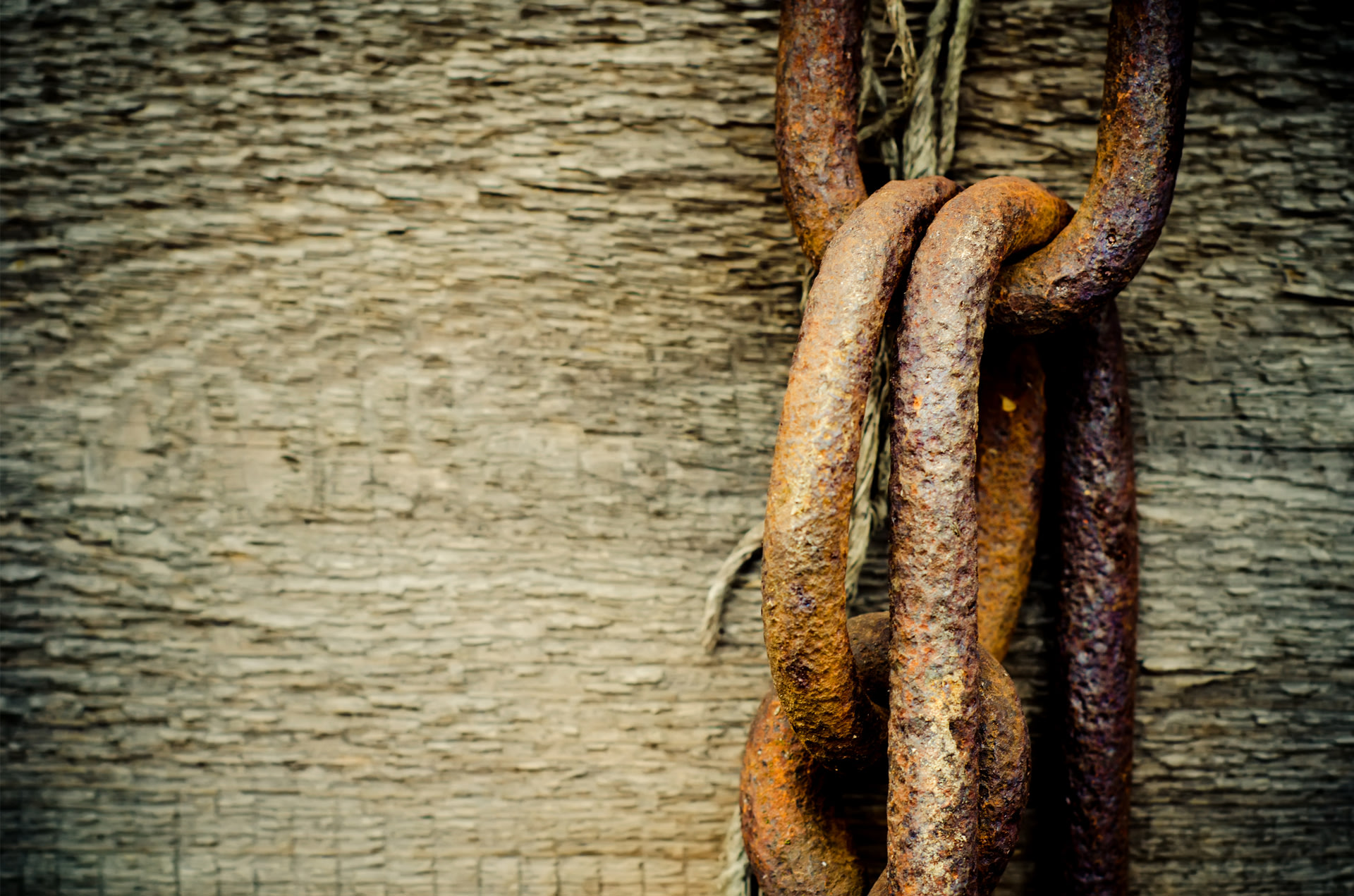 Proactive Supply Chain Management with Celonis