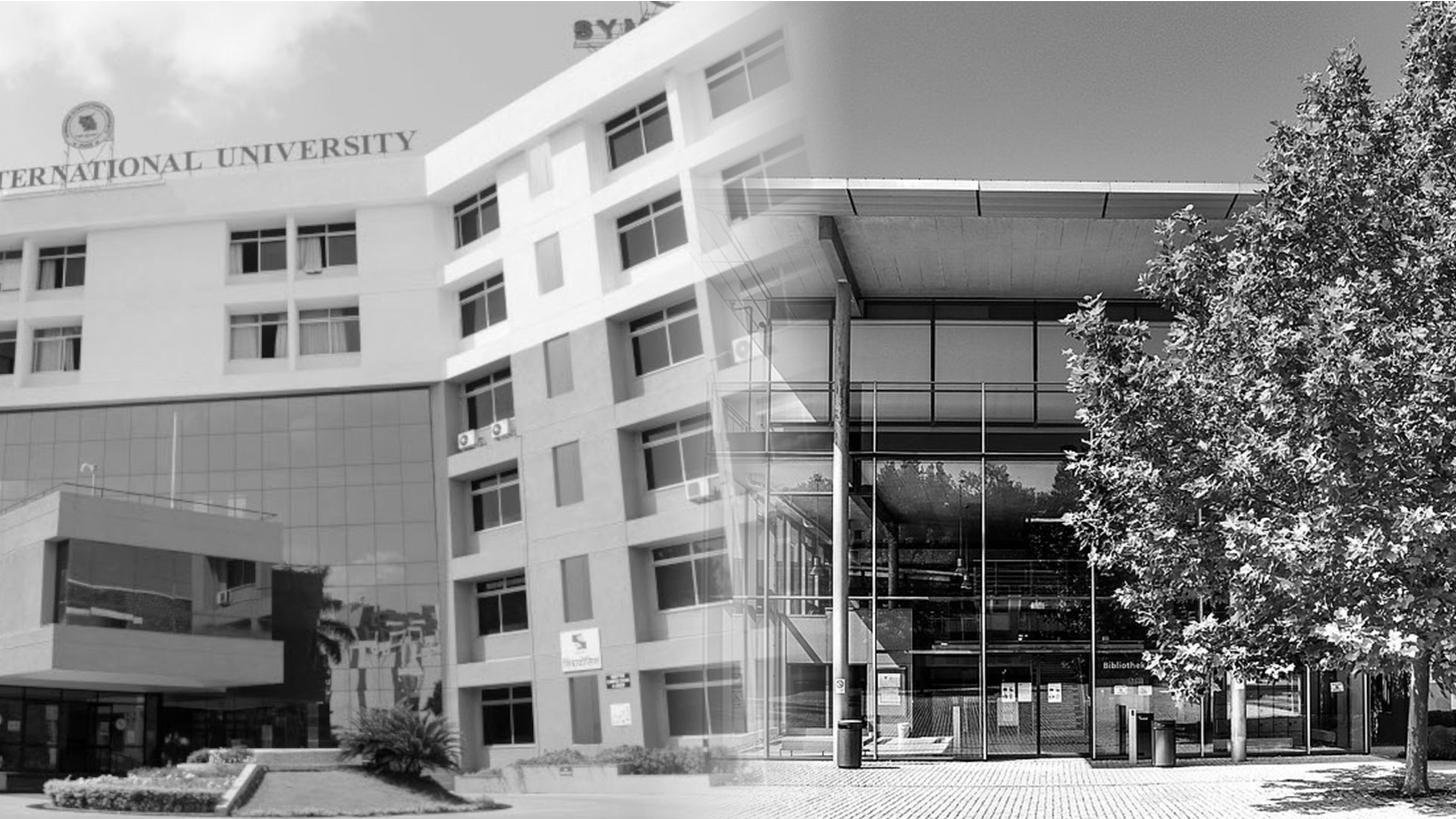 Center of Excellence Blog Header