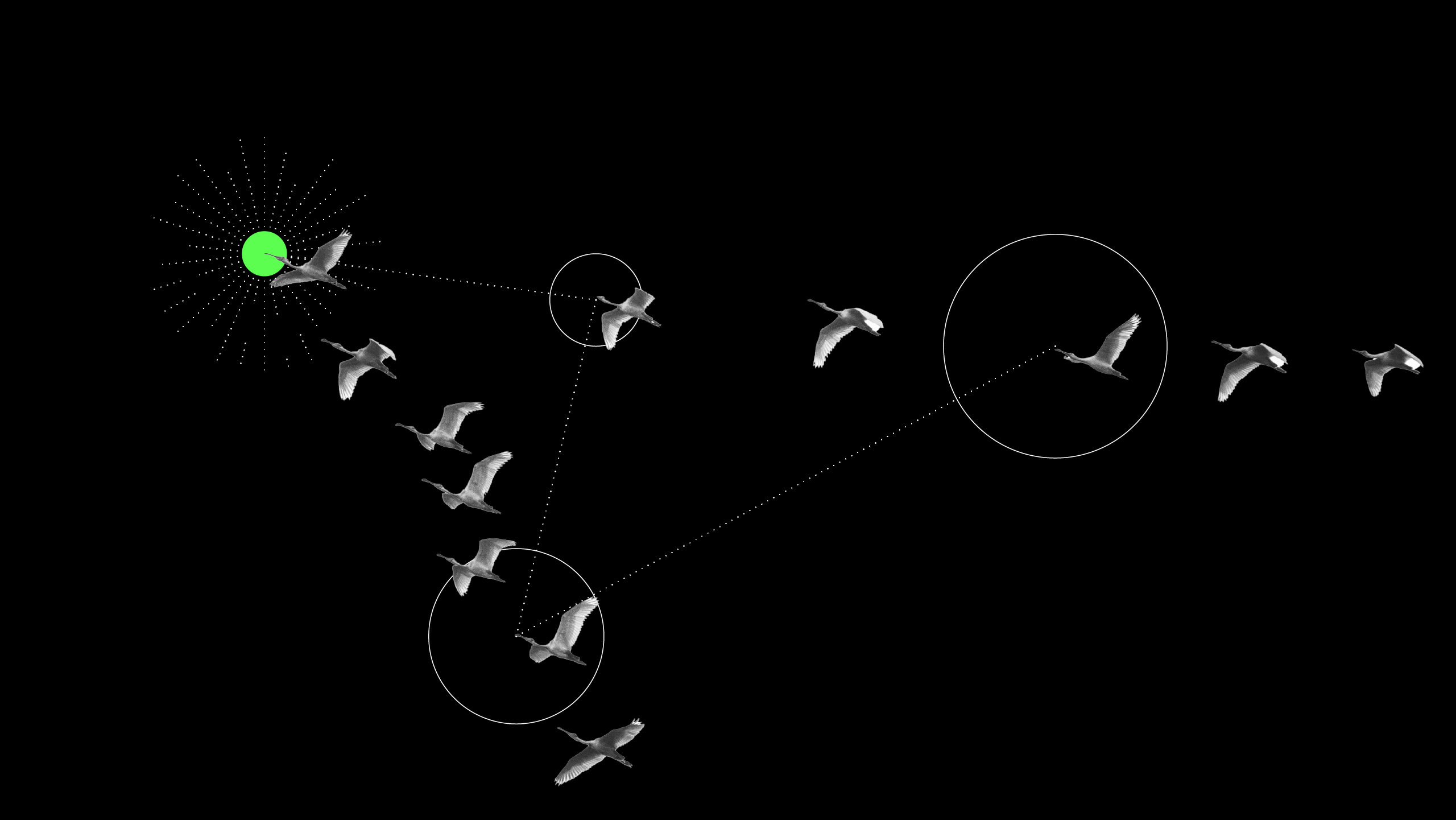 Want to migrate with confidence? Plan your S/4HANA or other system migrations step by step with our migration checklist and accelerate your time to value.