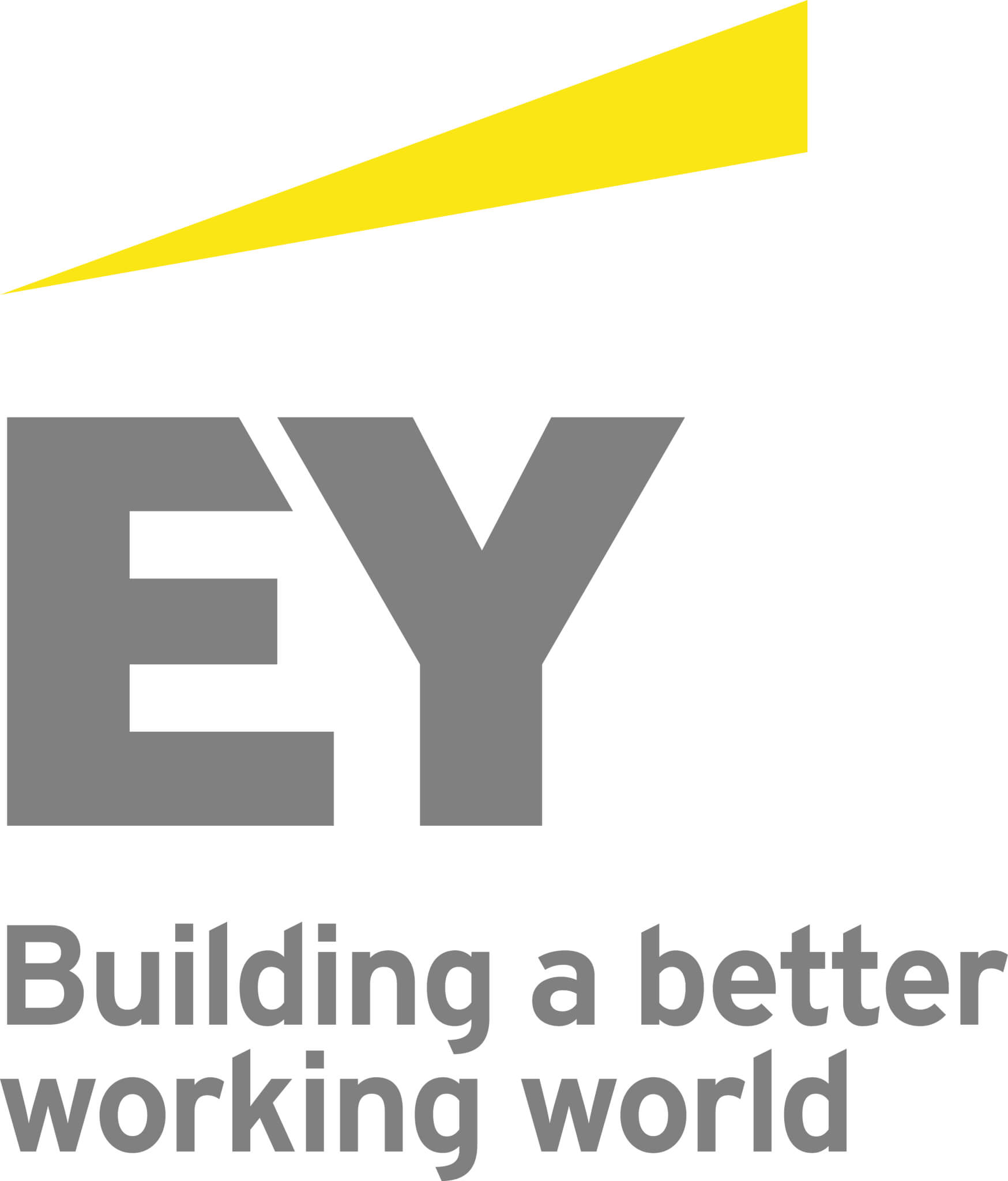 Ernst & Young GmbH Wirtschaftsprüfungsgesellschaft