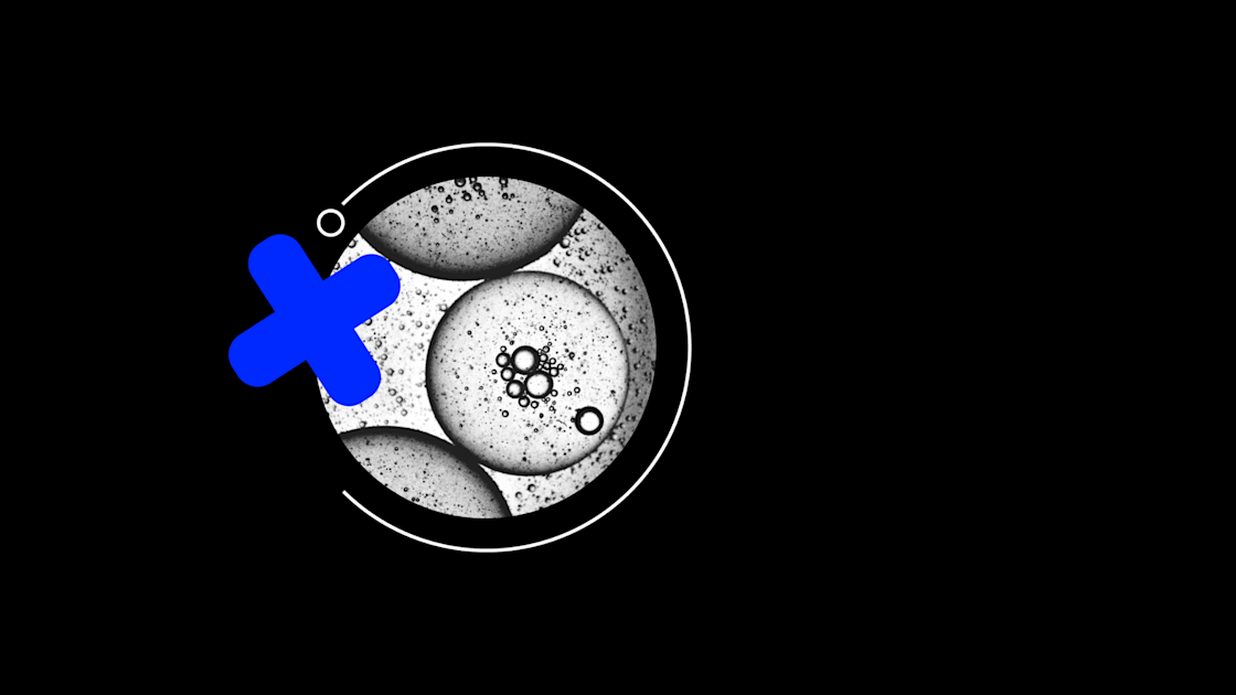 Untitled design (38)