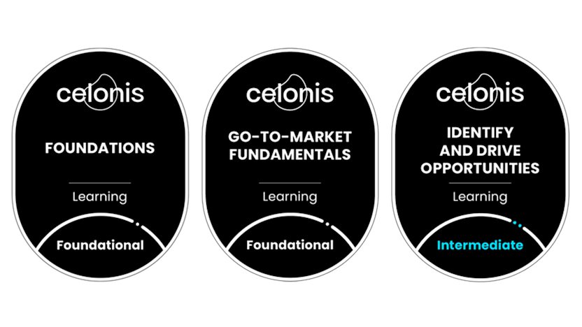 Tracy Beach has earned the 'Celonis Foundations,' 'Go-To-Market Fundamentals' and 'Identify and Drive Opportunities' Celonis Academy certifications.