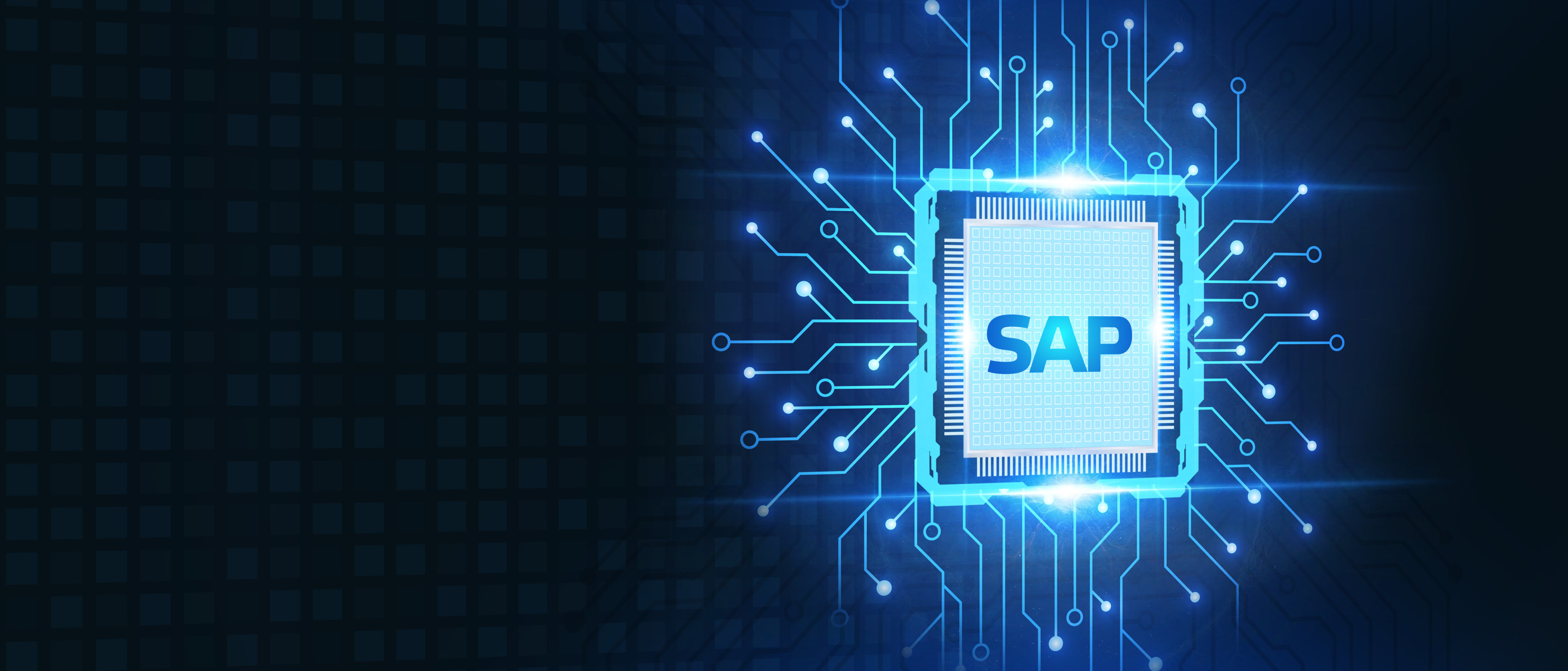 Migrating to S/4HANA? Learn why SAP customers made the switch, what challenges they face, and how they execute their SAP S/4HANA migration.