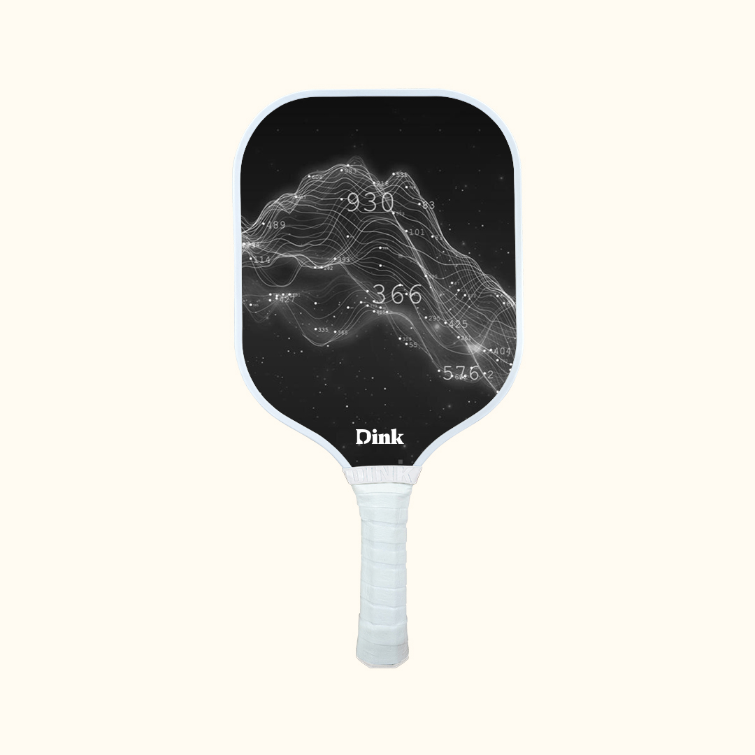 A statistics with a company data on Dink custom pickleball paddle
