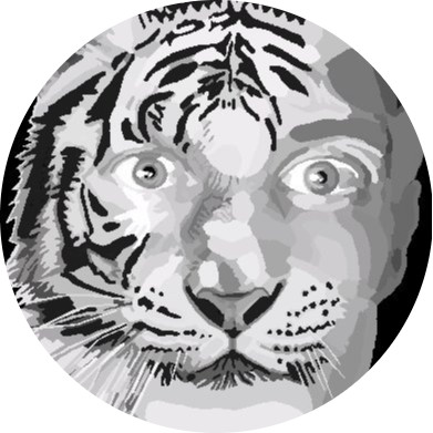 Parkesys Puzzles