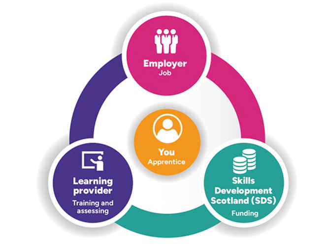 Apprenticeships who's who diagram - 660 x 440