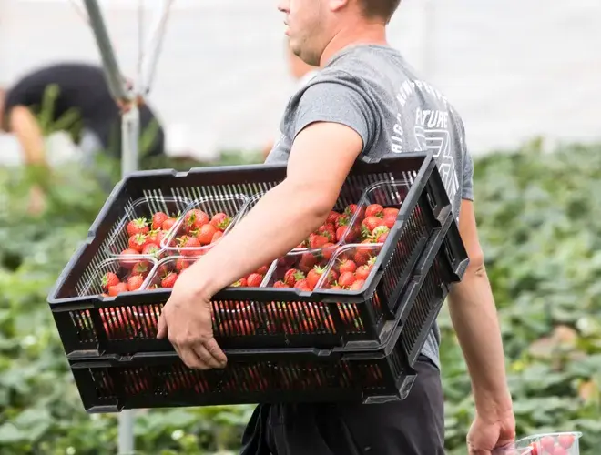 ECL image farm worker