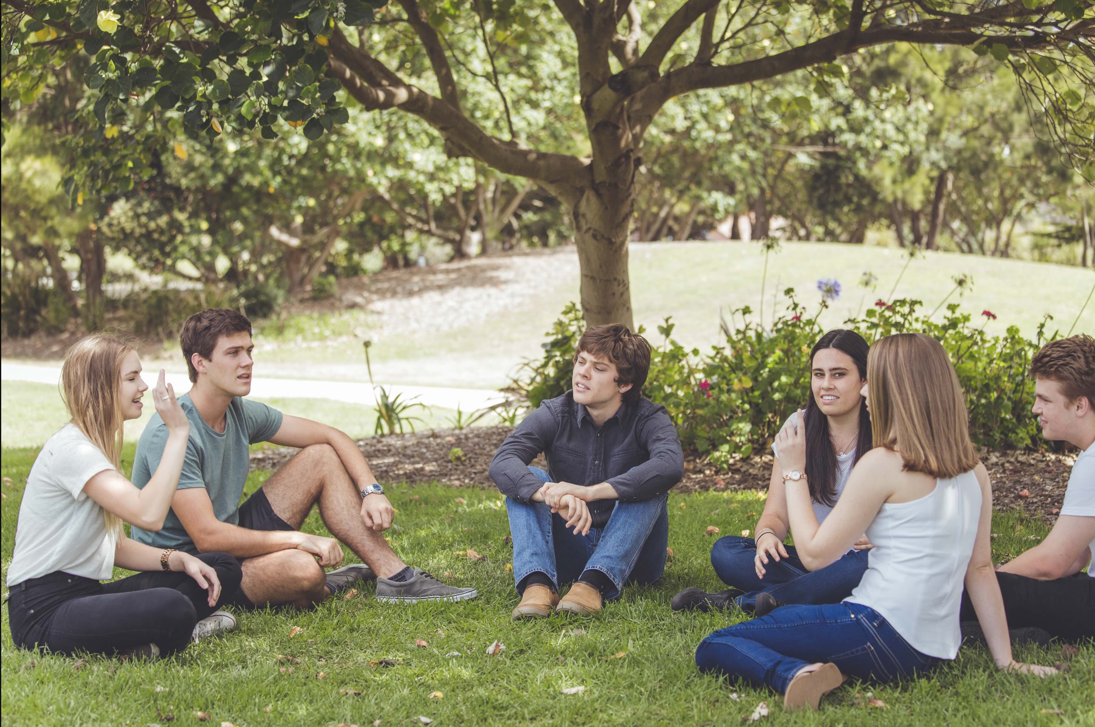 A group of 6 male and female teens sitting on grass and talking
