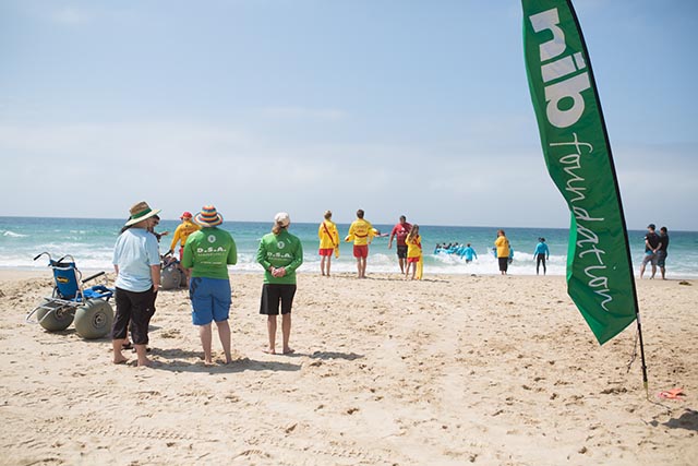 nib foundation report