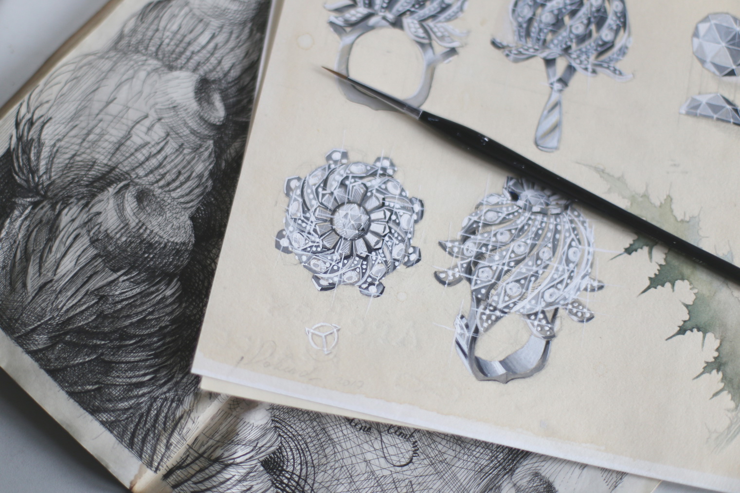 Thistle gouache 1