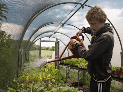 A man watering plants in a green house