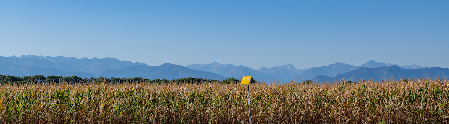 Panorama des gaz renouvelables et bas carbone en 2025