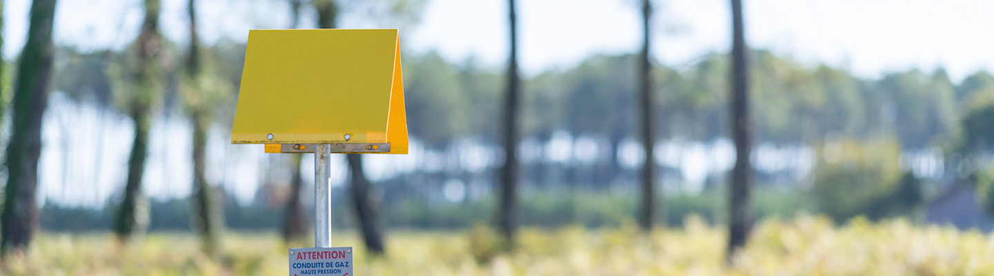 Détection et prévention des travaux non déclarés : Teréga sur le terrain pour la sécurité de tous