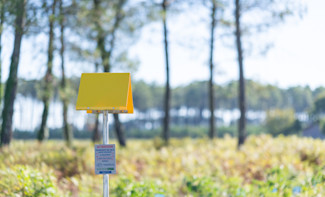 balise jaune conduite de gaz