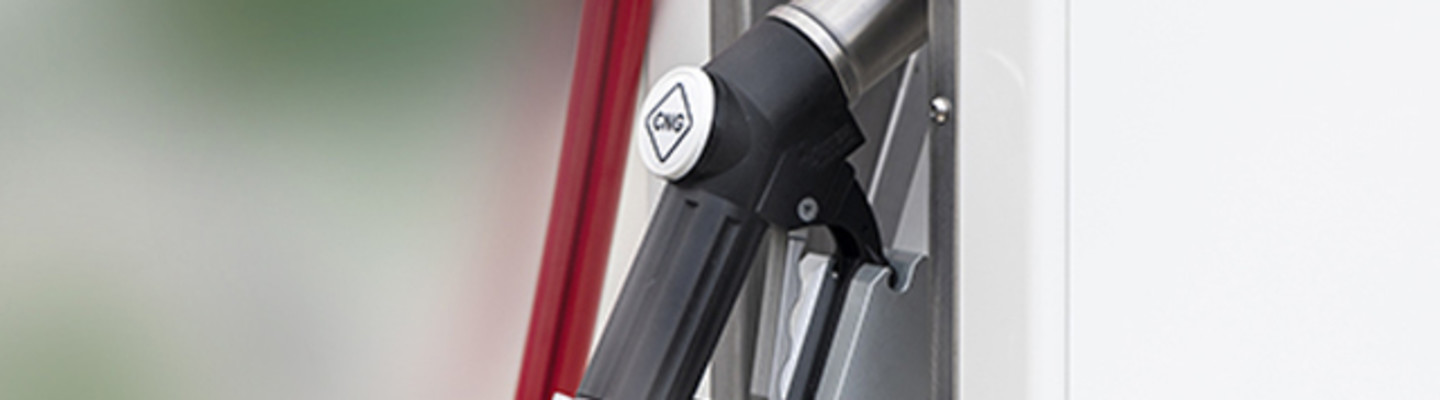 What are the prospects for NGV and bioGNV in France in 2022?