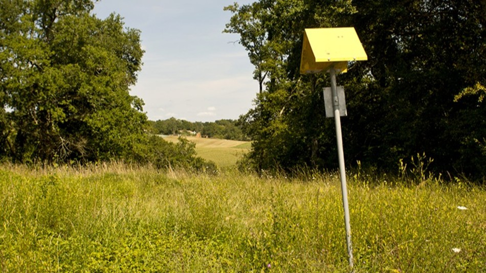 balise de signalisation réseau de gaz