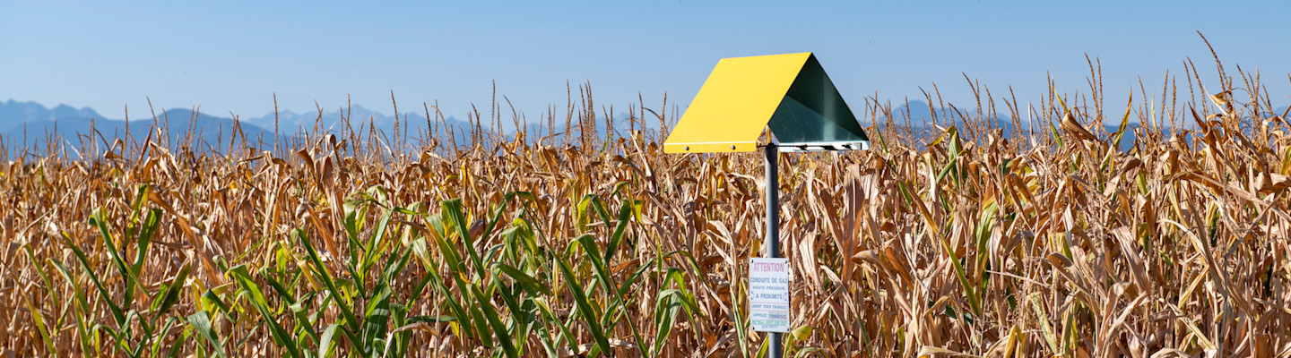 A gas industry committed to reducing methane emissions