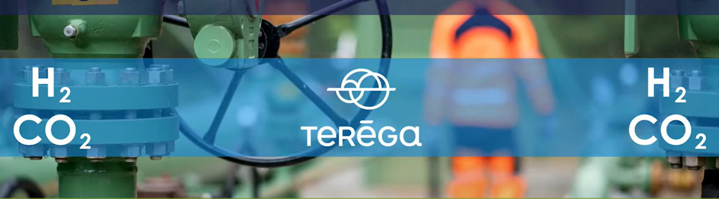 Hydrogen and carbon dioxyde CEI webinar presentation