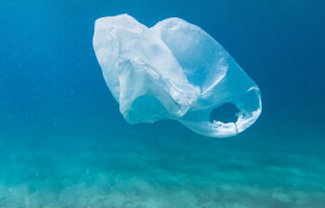 The Sea Cleaners