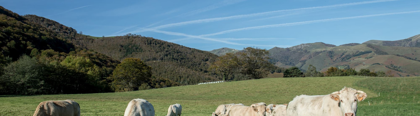 Signature d’un contrat de raccordement entre Teréga et Energies Sud Aveyron