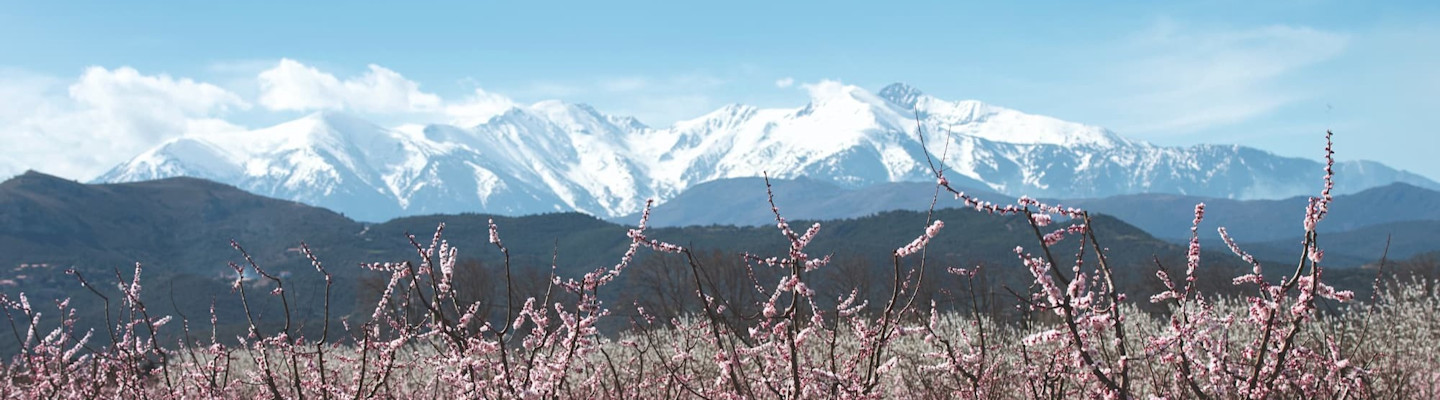 Teréga se mobilise pour une Europe neutre en carbone