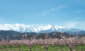 Paysage des Pyrénnées