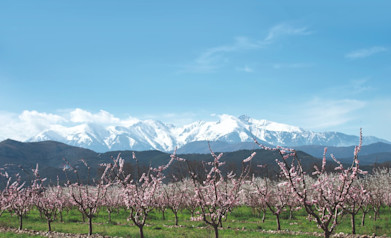 Paysage des Pyrénnées