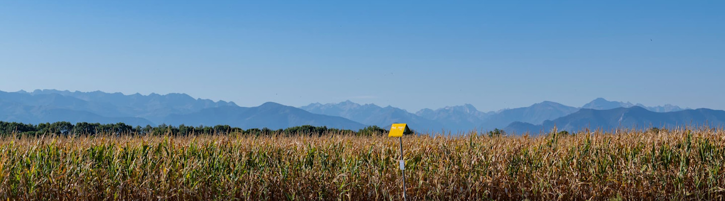 For Teréga, managing the environmental impact of its activities is a priority
