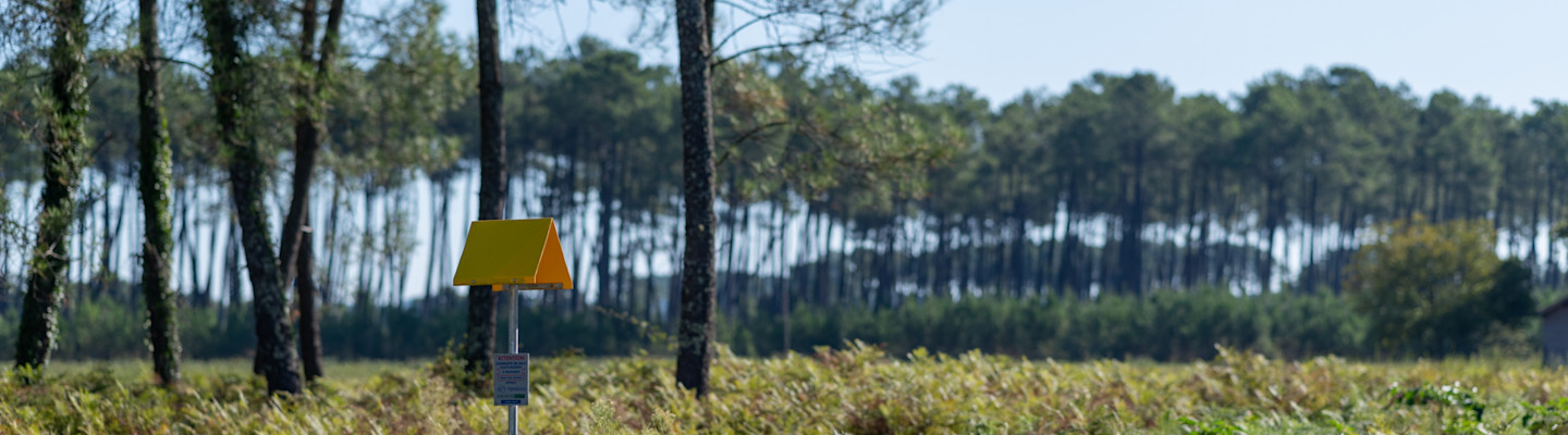 Perspectives du système gazier français pour l'hiver 2022-2023