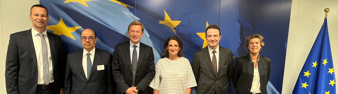 Executive Vice-President of the European Commission Teresa Ribera receives H2med Consortium leaders to be informed of the advancement of the European hydrogen corridor.