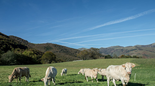 Méthanisation agricole dans le Sud-Ouest