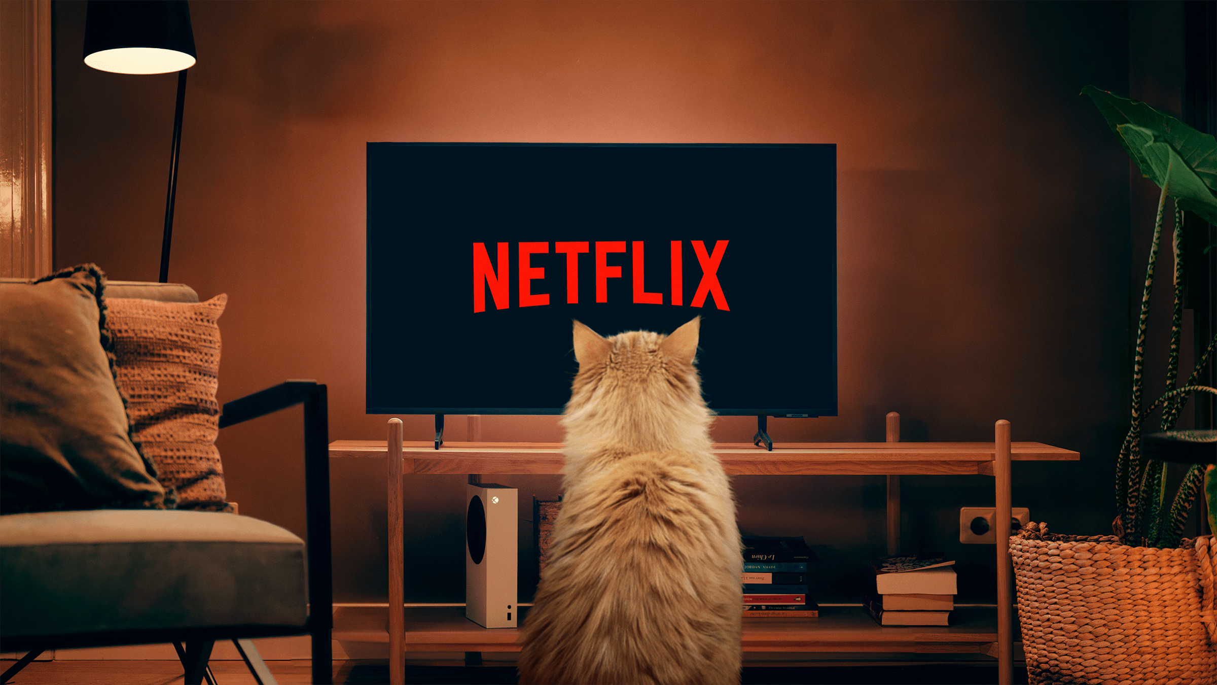 Louis de kat kijkt Netflix