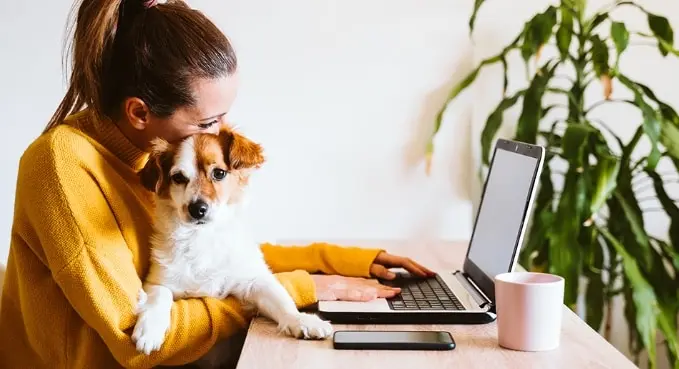 vrouw met hond op schoot achter laptop