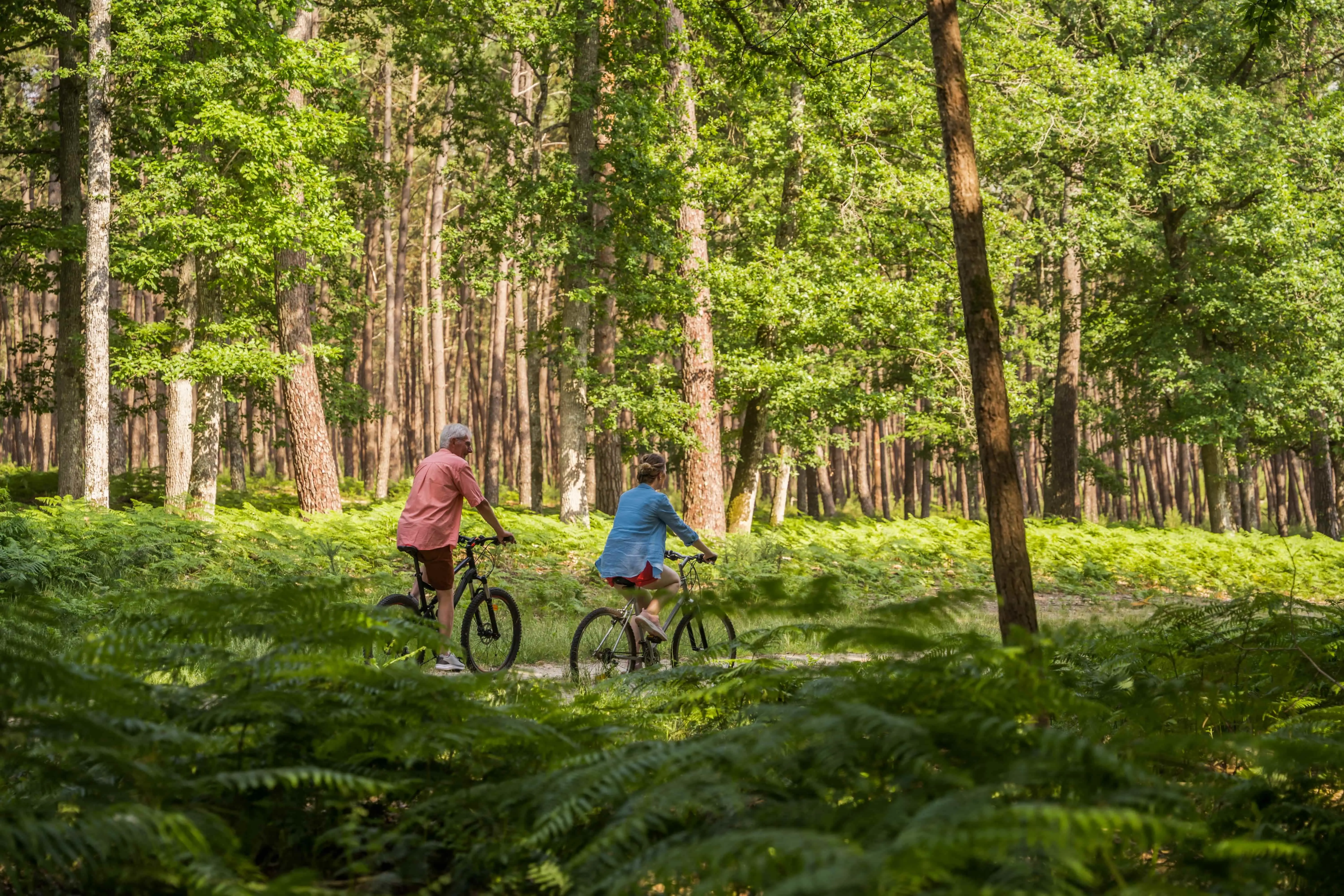 Mensen die fietsen in een bos