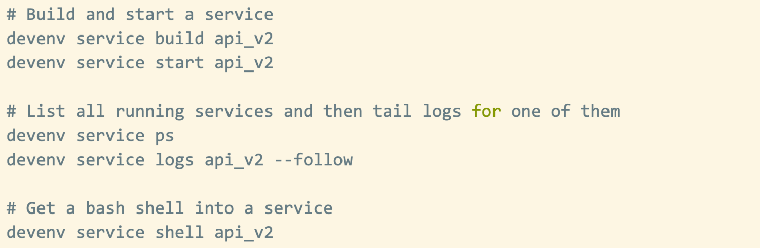 Devenv Image Build and start service