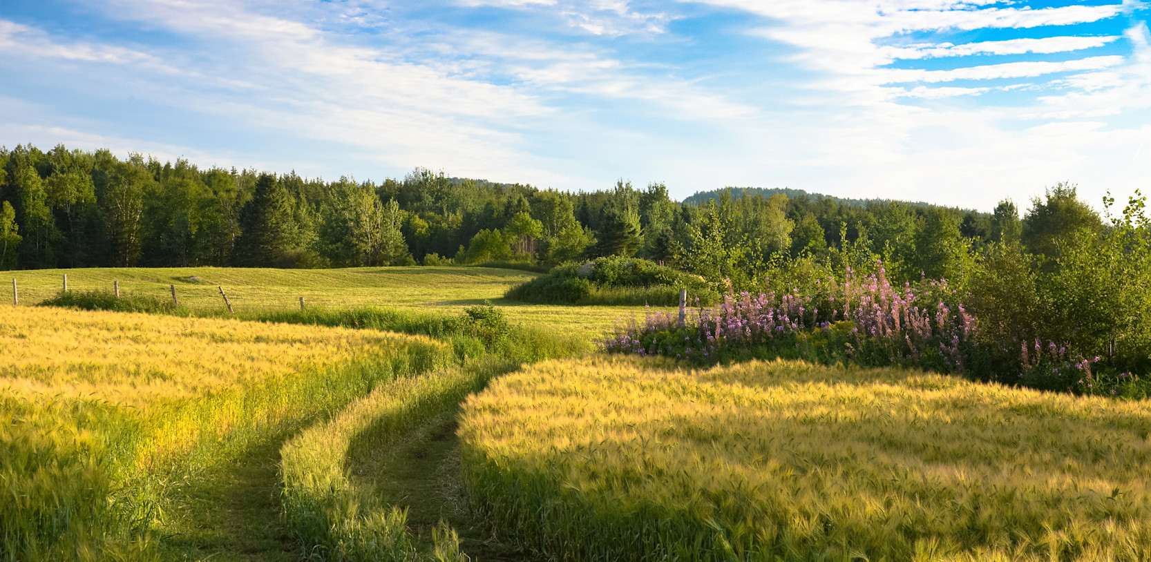 2f56bae62a75a40fa22ec9d63f06c5ca-2