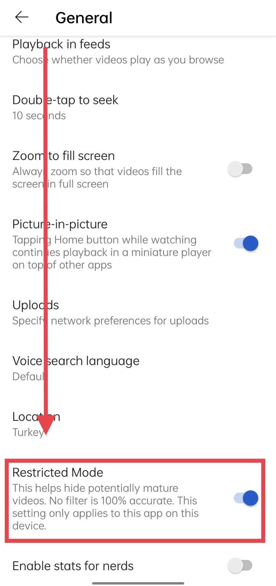 Parental Control Enabling Restricted Mode in YouTube Application