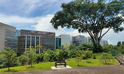 P&G's Singapore Innovation Center in Singapore