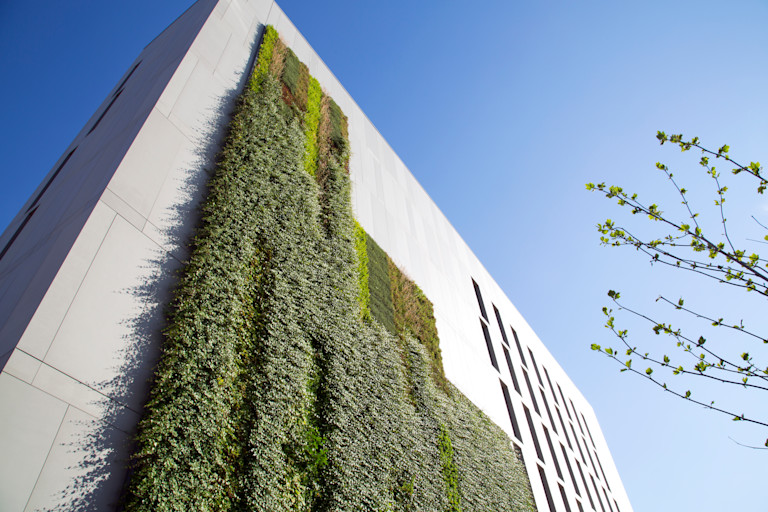 The Living Wall