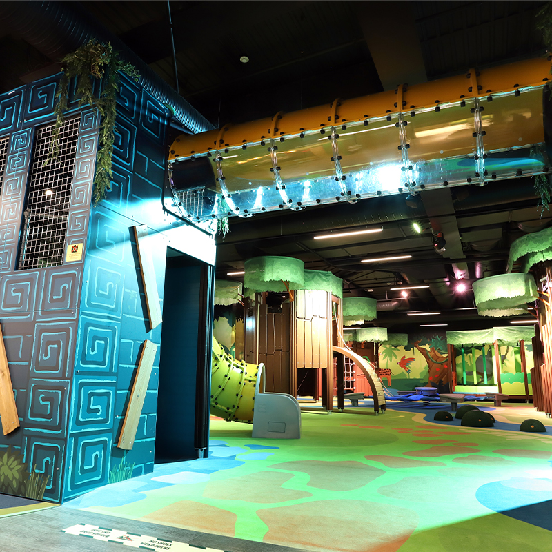 Balubaland 3 A vibrant indoor playground featuring colorful, tree-themed play structures, slides, and tunnels under soft lighting. The walls are adorned with nature-inspired murals, creating an immersive forest atmosphere. The play area includes various activity zones and climbing frames.